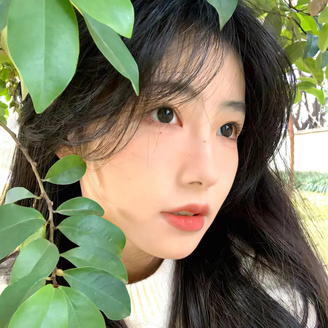 北京女子图鉴之助理女王